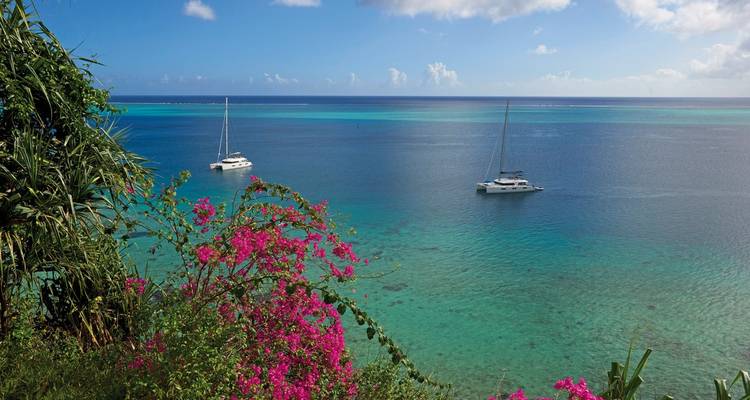 Beautiful coastline with sailboats and vibrant flowers.