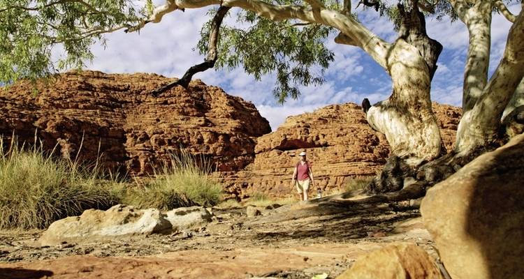 Sydney, Rock, Reef & Rail - MEIERS WELTREISEN 6