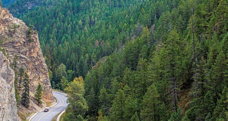 A winding road through a dense forest with rocky cliffs.