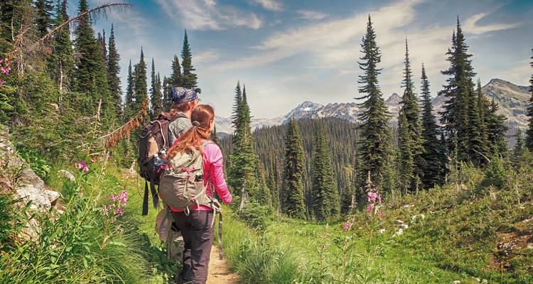Two hikers walking along a scenic trail with mountains.