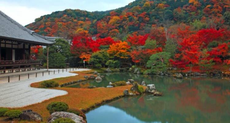 Delicias de Japón de 6 días（Circuito Familiar Privado ）- Umetravel - UME Travel Co. Ltd 6