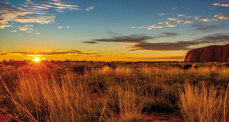 Sunrise over Uluru with golden light on a grassy landscape.