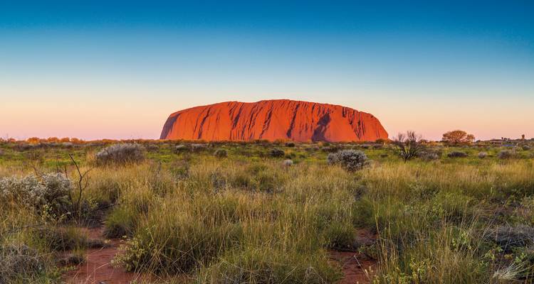 Uluru at sunset with a clear sky and surrounding bushland.