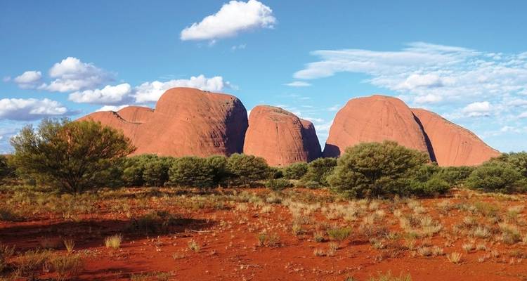 Red center in a Play of Colors - DERTOUR 5