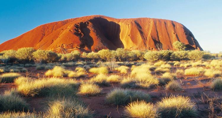 La icónica formación rocosa de Uluru rodeada de vegetación desértica