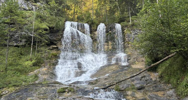 Wasserfall in einem üppig grünen Wald.