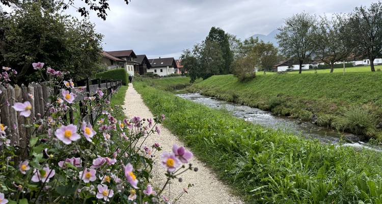 Weg entlang eines kleinen Baches mit Blumen.