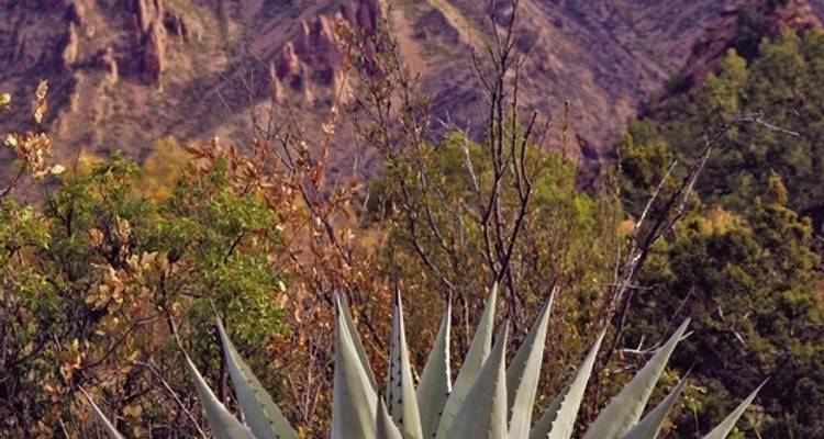SouthWest Canyon - DERTOUR 8