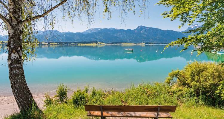 Bench overlooking a calm lake with mountains in the background.