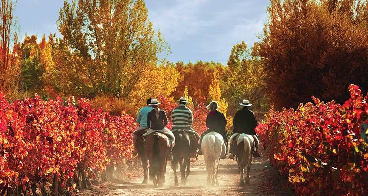 7 Days of Nature Adventures in Buenos Aires & Mendoza - Signature DMC 2