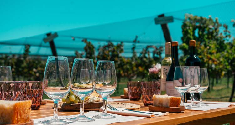 7 Days of Nature Adventures in Buenos Aires & Mendoza - Signature DMC 10