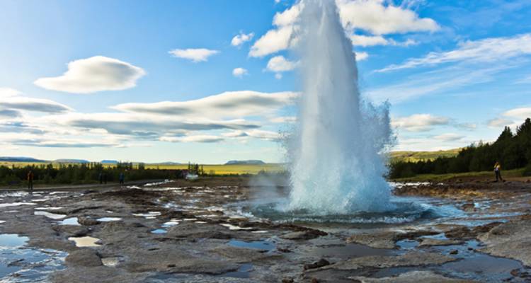 Tierra de Fuego, Hielo y Eclipse Solar 2026 - 6 días - On The Go Tours 5