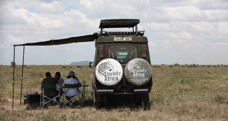 Véhicule de safari avec des personnes prenant un repas à côté dans une savane.