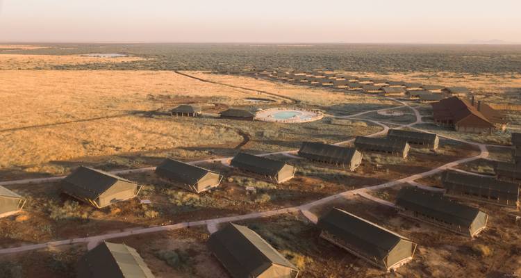 Luftaufnahme von Safari-Zelten und einem Swimmingpool in einer trockenen Landschaft.