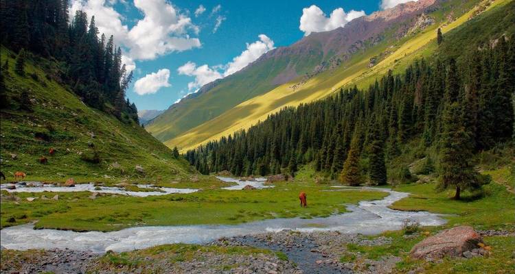 Tierra de Leyendas: Explorando Uzbekistán y Tayikistán - Silk Road Destinations 2