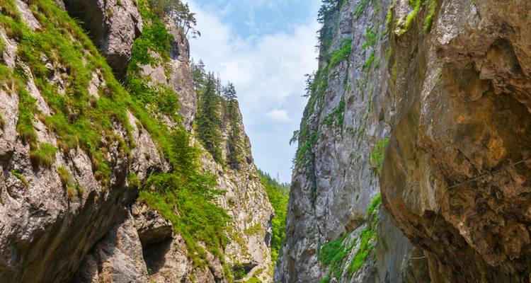 Transilvania y los Monasterios Pintados - Recorrido en coche - World Synergy Travel 10