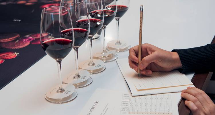 Maipo Valley Vineyards in Chile, A Great Wines Experience in 4 Days - Signature DMC 4