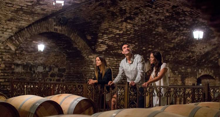 Maipo Valley Vineyards in Chile, A Great Wines Experience in 4 Days - Signature DMC 6