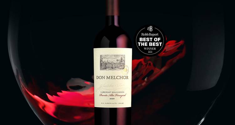 Maipo Valley Vineyards in Chile, A Great Wines Experience in 4 Days - Signature DMC 3