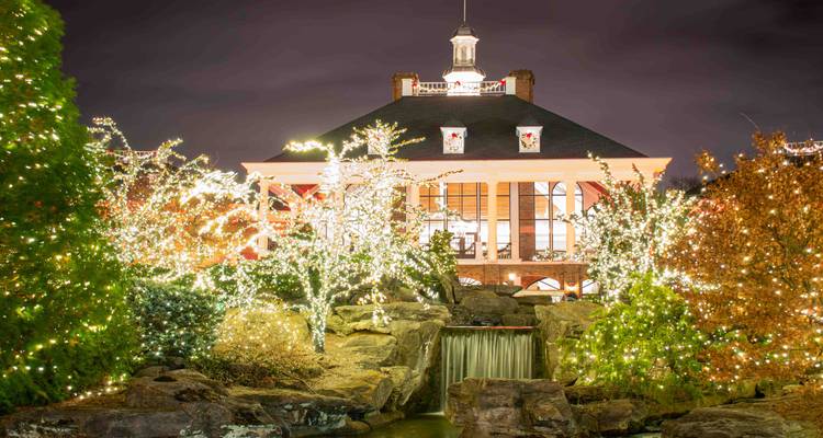 Un Noël à Nashville et dans les Smoky Mountains - Tours of Distinction 1
