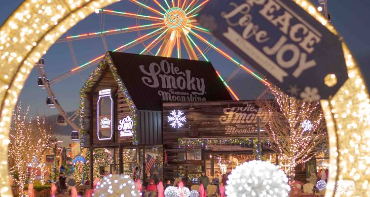 Un Noël à Nashville et dans les Smoky Mountains - Tours of Distinction 2