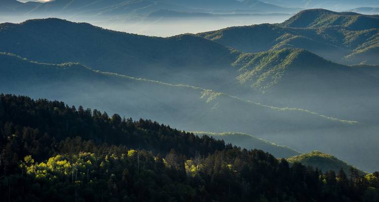 Un Noël à Nashville et dans les Smoky Mountains - Tours of Distinction 3