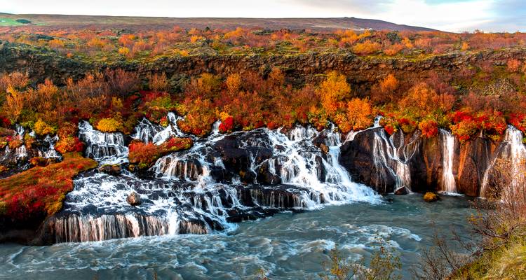 Aventure estivale en Islande - Wingbuddy 7