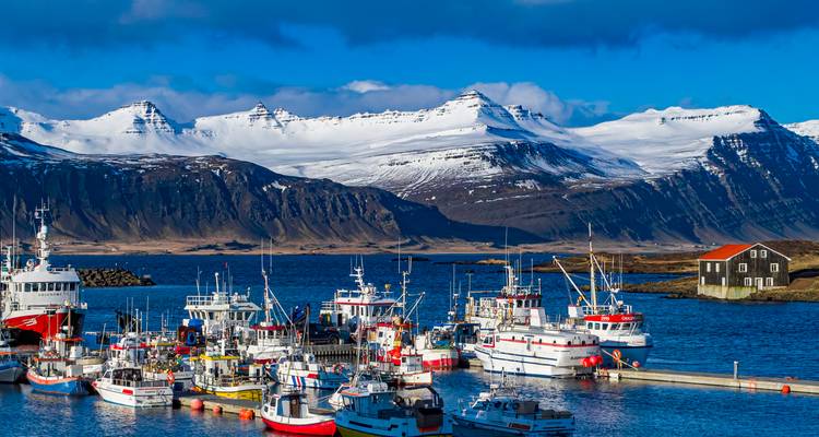 Aventure estivale en Islande - Wingbuddy 9