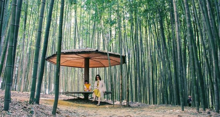 Experimenta lo mejor de Corea y Japón - Receptivo Aborigen Tours 6