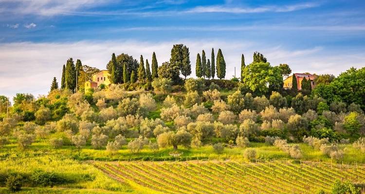 Eco-Comfort - Tour Of Italy By Train - Mestre - Flag Travel Holidays 8