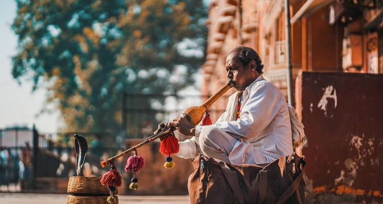The Grand Rajasthan Tour : 11 Days Across Iconic Forts, Lakes,  Ancient Temples & Deserts - aci holidays 9