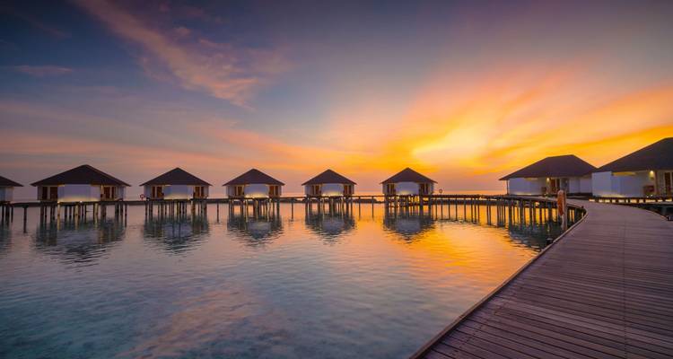 Maldives Adventure of Your Life! - Thoddoo - Corallium Tours 10