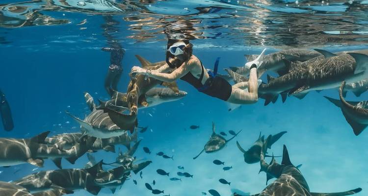 Maldives Adventure of Your Life! - Thoddoo - Corallium Tours 4