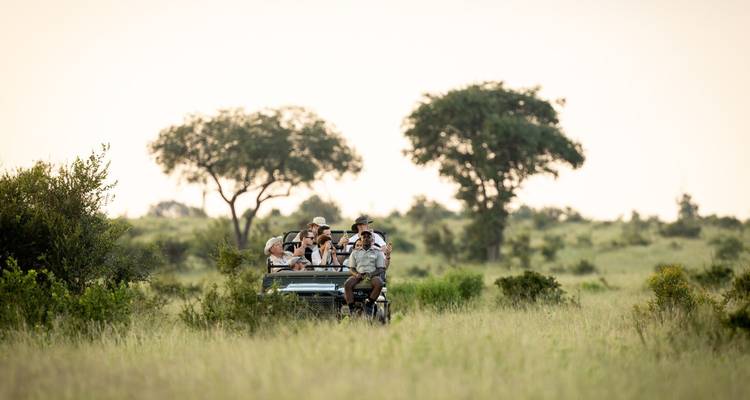Véhicule de safari avec des touristes dans une savane herbeuse.