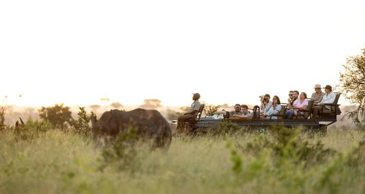 Véhicule de safari avec des touristes observant la faune.