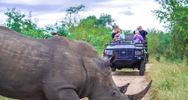 Un rhinocéros traversant un sentier de terre devant un véhicule de safari avec des gens qui prennent des photos.