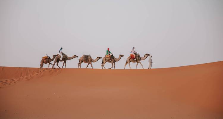 Excursión a Campamento de Lujo en el Desierto del Sáhara - Escorted Morocco Tours 1