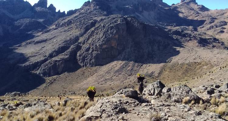 8 days Mount Kenya Trek with Lake Nakuru and Masai Mara mid range Safari 2025 - CKC Tours & Travel 2