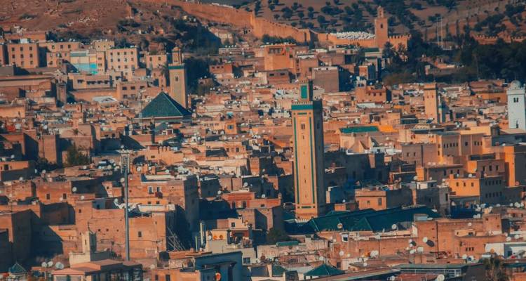 Aerial view of Fes with brown buildings and green rooftops.