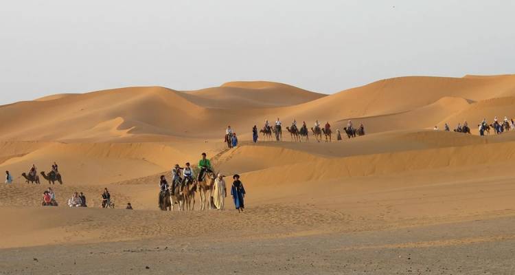 Camel caravan crossing the dunes in the desert.
