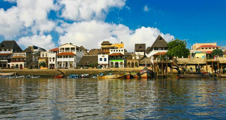 Wild Wonders and Coastal Bliss: Kenya Safari & Lamu Escape - Wanderful Holidays LLC 6