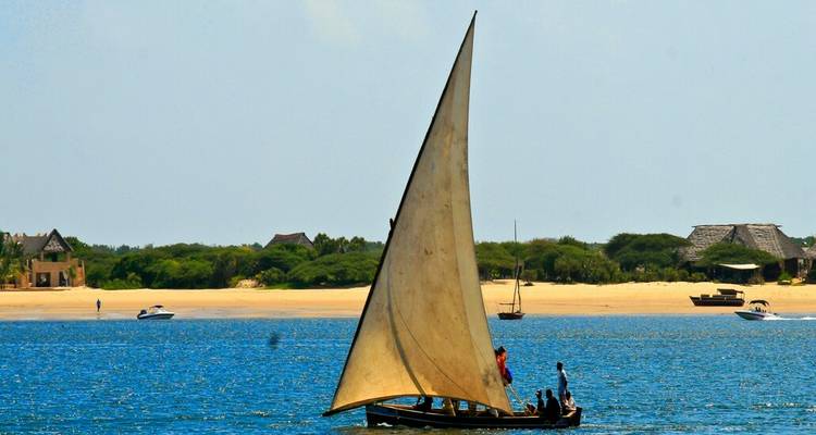 Wild Wonders and Coastal Bliss: Kenya Safari & Lamu Escape - Wanderful Holidays LLC 7