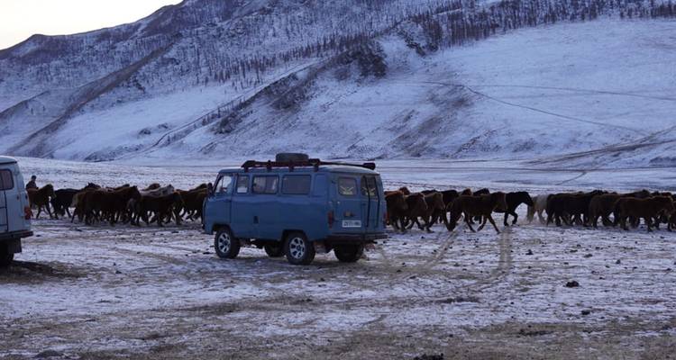 La Mongolie et le désert doré de Gobi - Penguin Travel 8