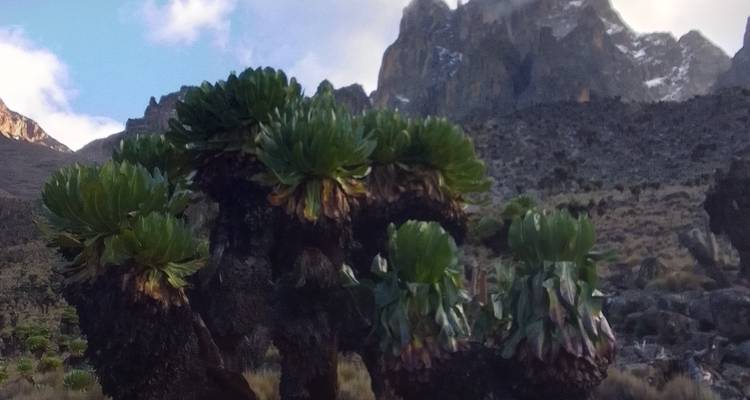 16 days Mount Kenya Trek with Kenya Wildlife Safari and Watamu Beach stay 2025 - CKC Tours & Travel 3