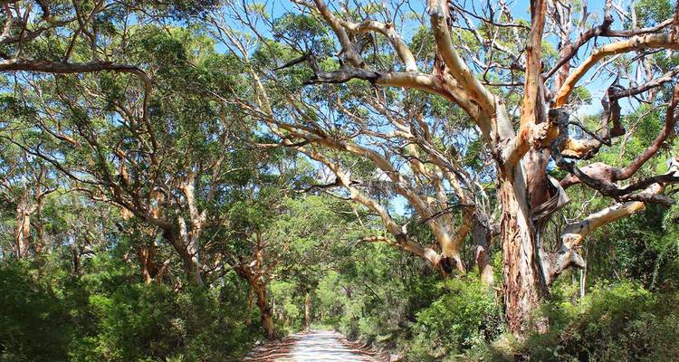 Best of Perth, Margaret River & Rottnest Island (9 destinations) - Intrepid Travel 3