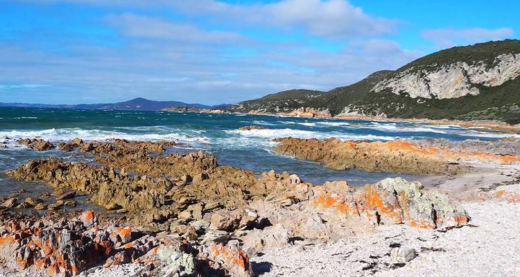 Best of Tasmania's Tarkine & Cradle Mountain (14 destinations) - Intrepid Travel 4