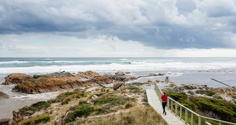 Best of Tasmania's Tarkine & Cradle Mountain (14 destinations) - Intrepid Travel 6