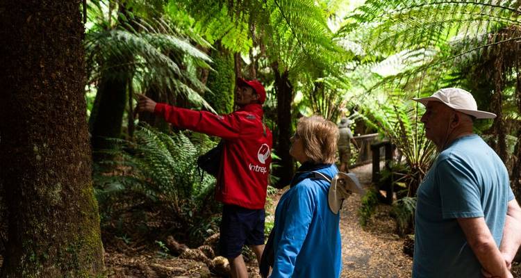 Best of Tasmania - Intrepid Travel 9