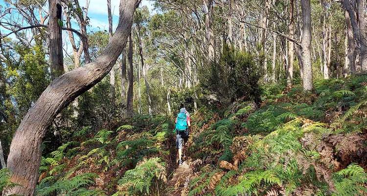 Camina por la isla Bruny y la costa sur de Tasmania - Intrepid Travel 4