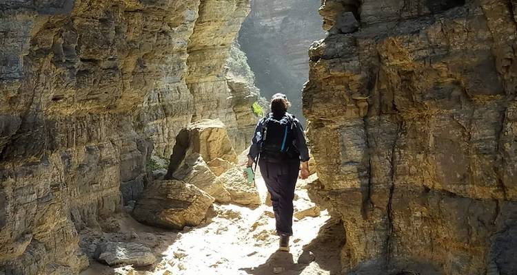 Camina por la isla Bruny y la costa sur de Tasmania - Intrepid Travel 6